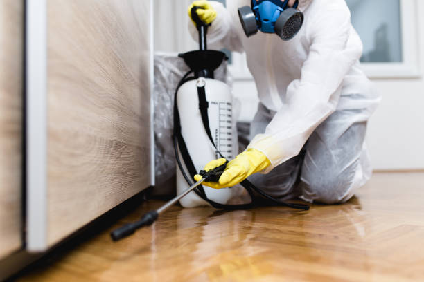 Best Rat Extermination Near Me  in Marlton, NJ
