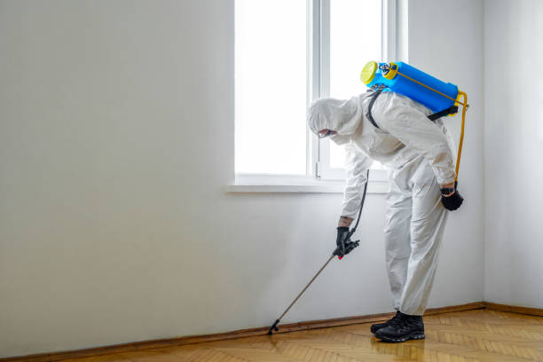 Best Pest Control Near Me in Marlton, NJ