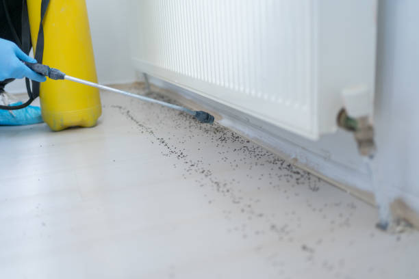 Best Spider Control Near Me  in Marlton, NJ