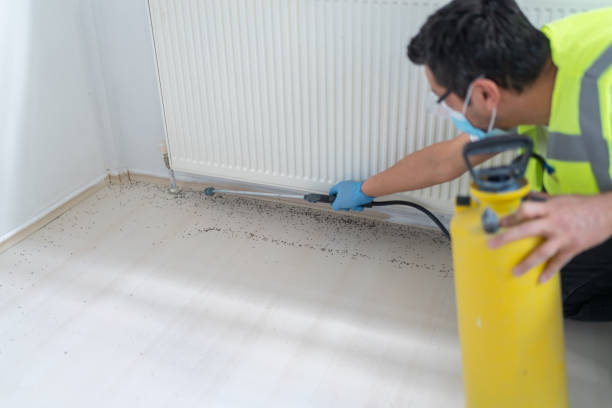 Best Affordable Exterminators  in Marlton, NJ