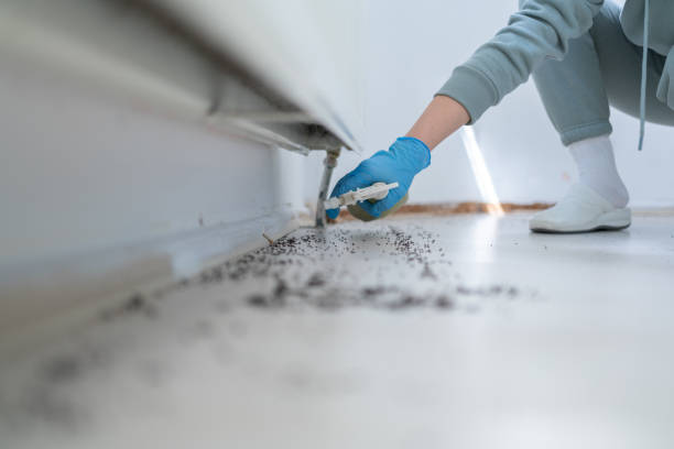 Best Bird Control  in Marlton, NJ